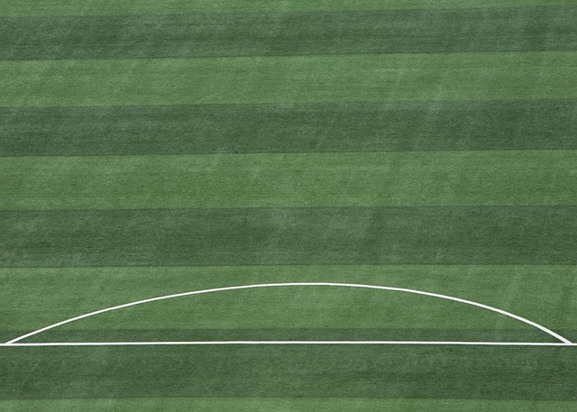 意甲半场：杜维卡斯建功，科莫暂1-0萨索洛