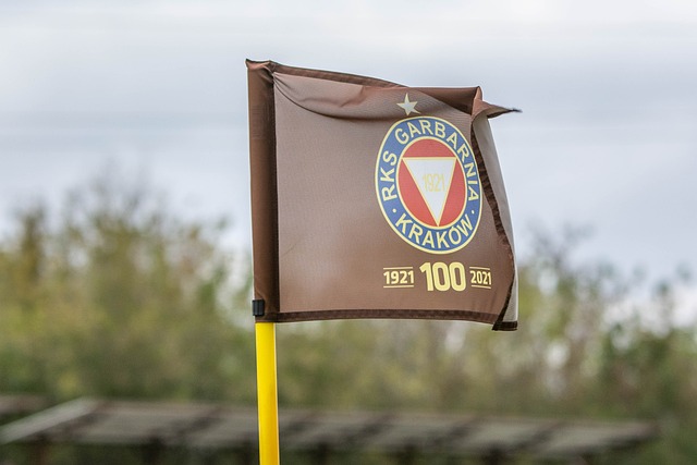 燃炸！13：00央视直播，国乒6连胜冲横扫，德乒黑马能挡吗？